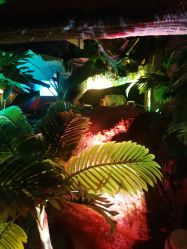 -恐龙探索乐园(磁器口店)