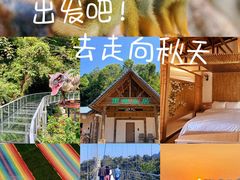 -南丹山森林王国