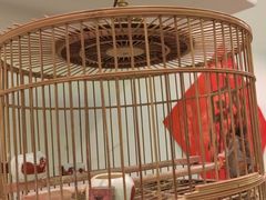 -潇湘·永州会馆(百子湾店)