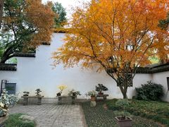-上海醉白池公园