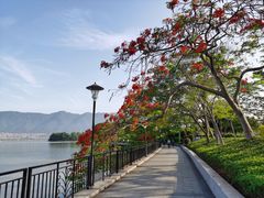 -星湖旅游景区七星岩