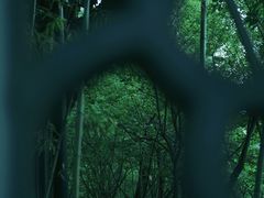 -望江楼公园