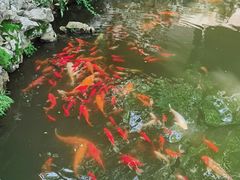 -同里国家湿地公园