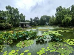 -国家植物园南园