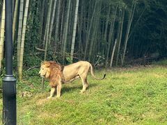 -杭州野生动物世界