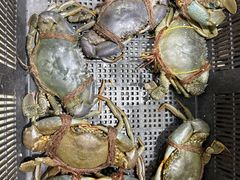 -無招牌海鮮(芽笼店)
