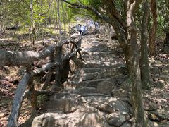 -梧桐山风景名胜区