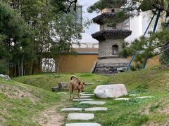 -龙华寺