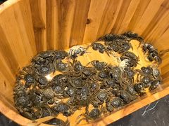 -初色海鲜自助(万丰路店)