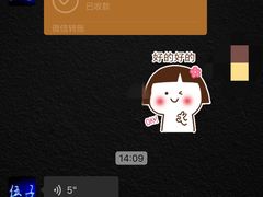 -伍子油炸