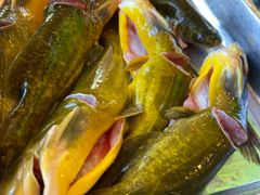 -荣德灶台鱼(圣泉寺店)