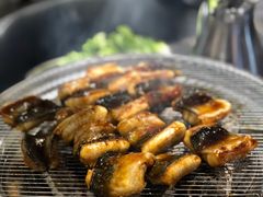 -本炙炭烤·蒲烧活鳗料理店(金沙洲店)