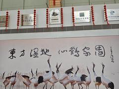 -盐城丹顶鹤湿地生态旅游区