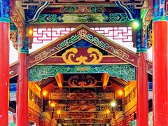 -洛龙公园