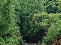 -马峦山郊野公园