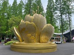 -东平国家森林公园