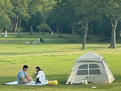 -吴淞炮台湾湿地森林公园烧烤区