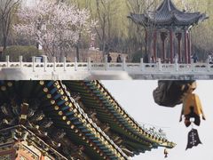 -碑林公园