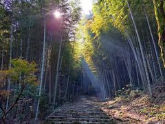 -仙霞关景区