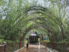 -郑州方特梦幻王国