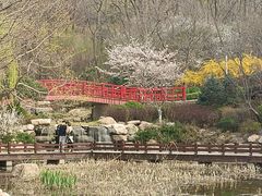 -大连植物园