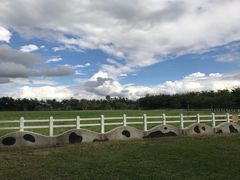 -瑞穗牧场