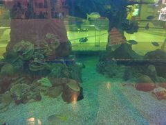 -尚泰清迈机场购物中心