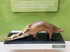 -国家自然博物馆