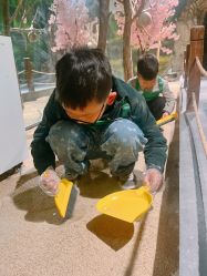 -酷嗒动物文化乐园(cutezoo西溪乐天城店)