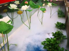 -历蜀记·家宴老火锅(总店)