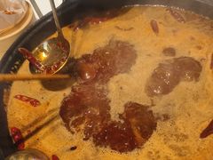 -朱光玉火锅馆(正弘城店)