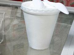 -洪馨椰子