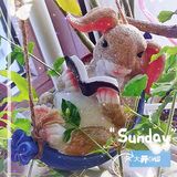 给宅在家里的无聊增添了不少乐趣!