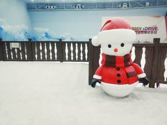 -哈尔滨热雪奇迹