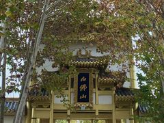 -白佛山景区