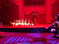 -珠海横琴长隆《卡卡虎奇遇记》