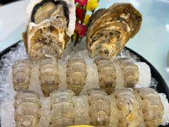 瀨尿蝦刺身-嘉升大排档(番禺总店)