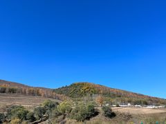 -御道口草原森林风景区