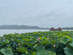 -钱王祠