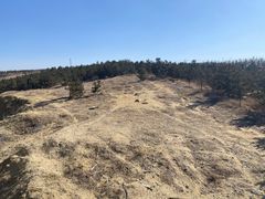 -鄂尔多斯野生动物园