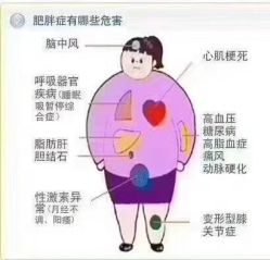 点击看大图 -香薇妮丝女子减肥院