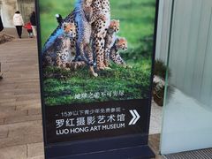-罗红摄影艺术馆