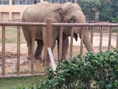 -荆州中山公园动物园