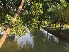 -祥源·阜阳生态乐园