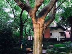 -华山儿童公园