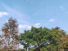 -厦门园林博览苑