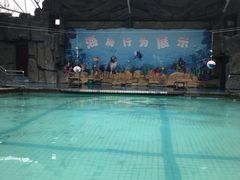 -合肥野生动物园