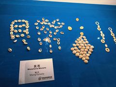 -青岛贝壳博物馆