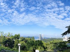 -花柏山公园