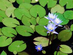 -国家植物园(地铁站)